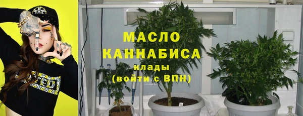 крисы Михайловск