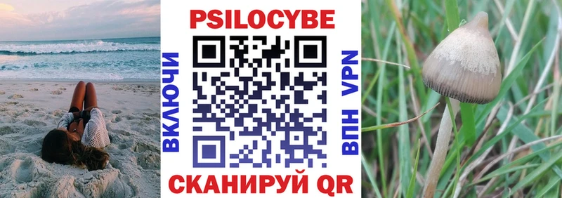 Галлюциногенные грибы Psilocybine cubensis  Игра 